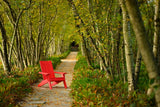LuxCraft Urban Adirondack Chair Additional Image - 4